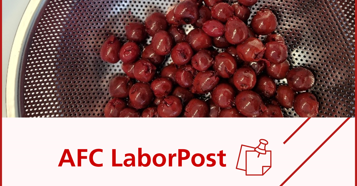 AFC Consulting Group LaborPost Cherry Cherry Lady