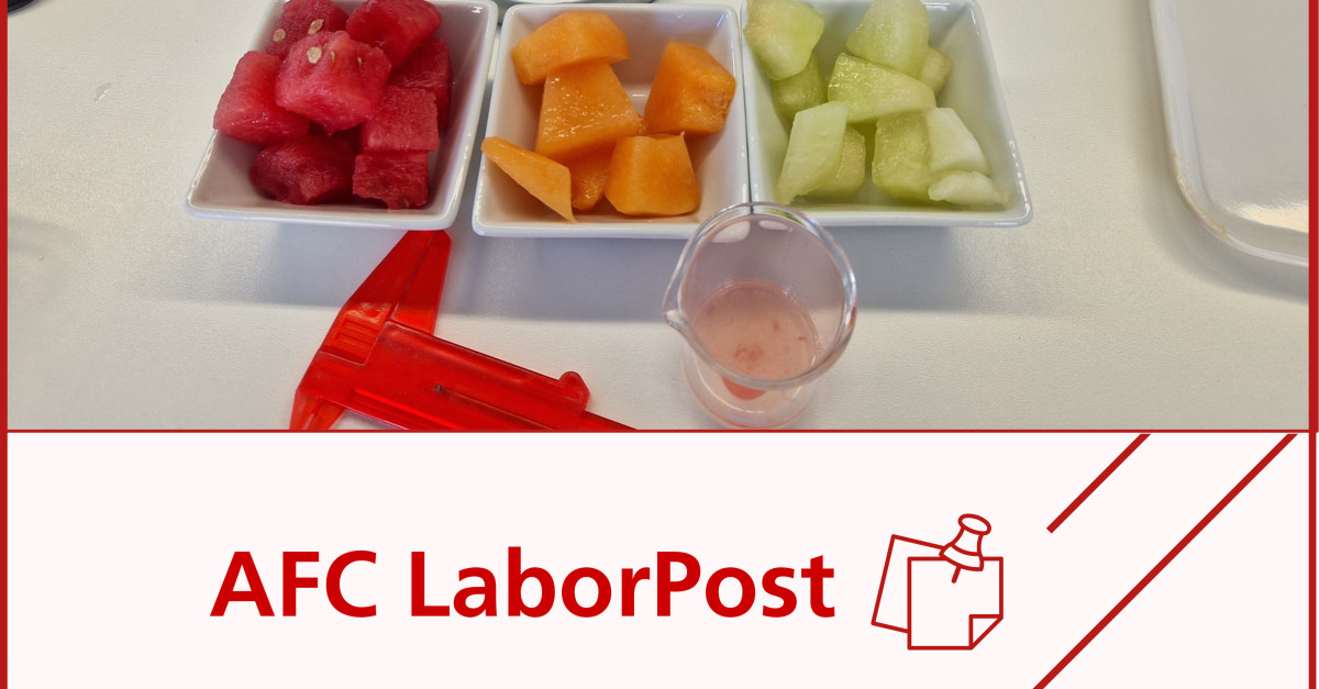 AFC Consulting Group LaborPost Mit Schirm Charme Und Melone